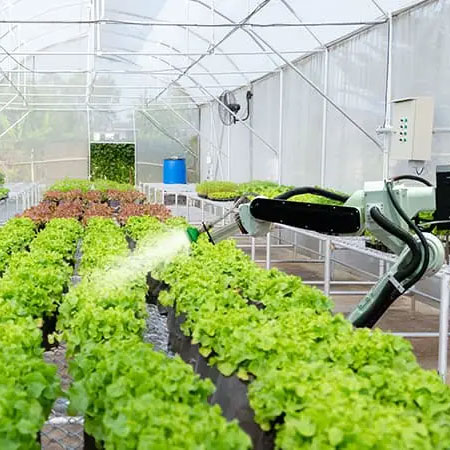 Application case of instruments in agricultural irrigation field