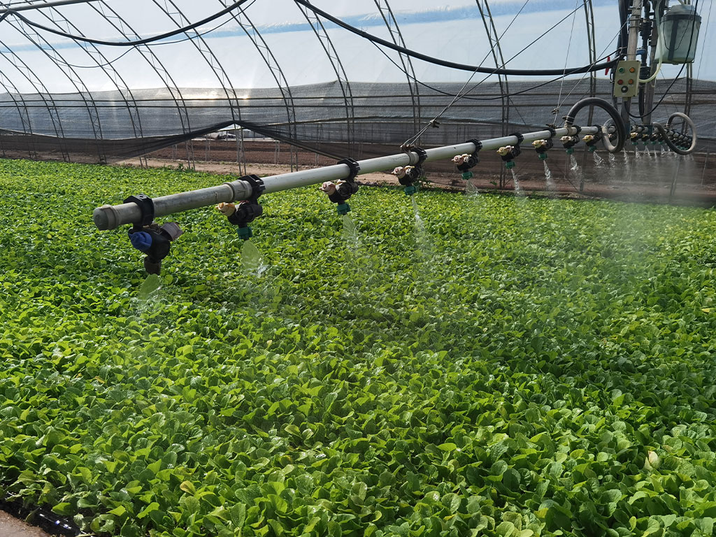 Intelligent-irrigation